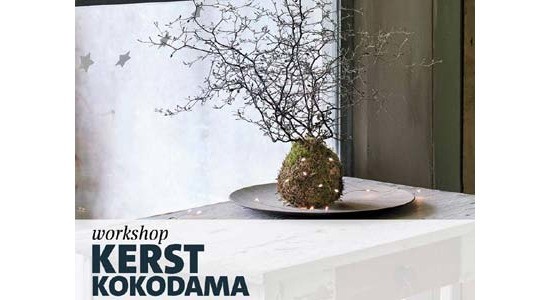 Workshop Kerst Kokodama