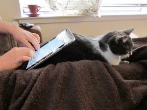 Vervolg-workshop 'Leer omgaan met uw iPad'