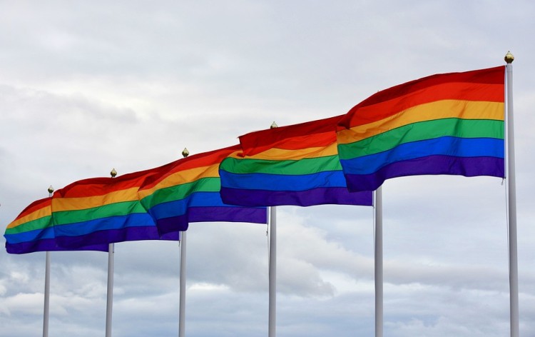 Dordrecht Pride betrekt de regio: SGP stelt vragen, Pride-Waterbussen varen tóch niet met regenboogvlag