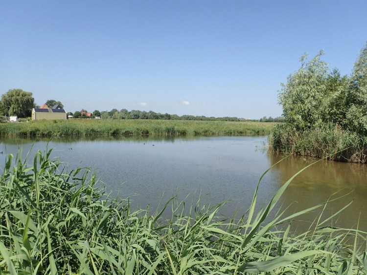 Verrassend mooi door de natuur