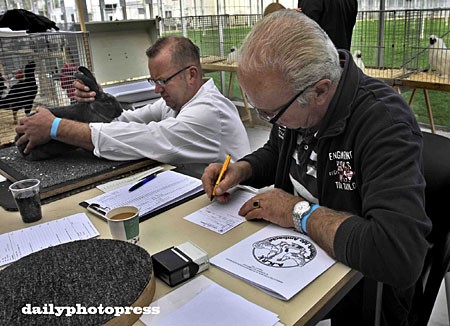 AKPV organiseerde jonge dieren keuring