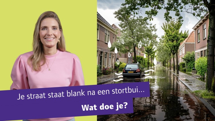 Hollandse Delta helpt inwoners met wateroverlast om te gaan