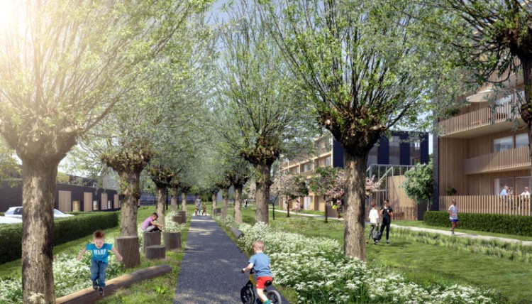 Ambachts Lint: Blauwhoed ontwerpt winnend plan voor centrumgebied Hendrik-Ido-Ambacht