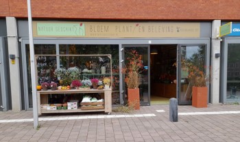 Album afbeelding 2: De entree van de winkel