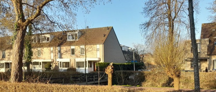 Het voorjaar komt er aan!