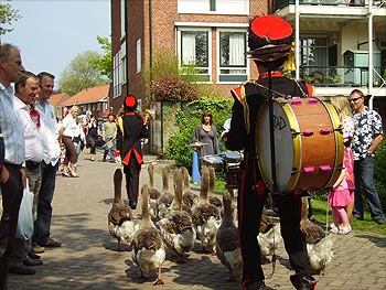 Album afbeelding 1: Ganzenmars