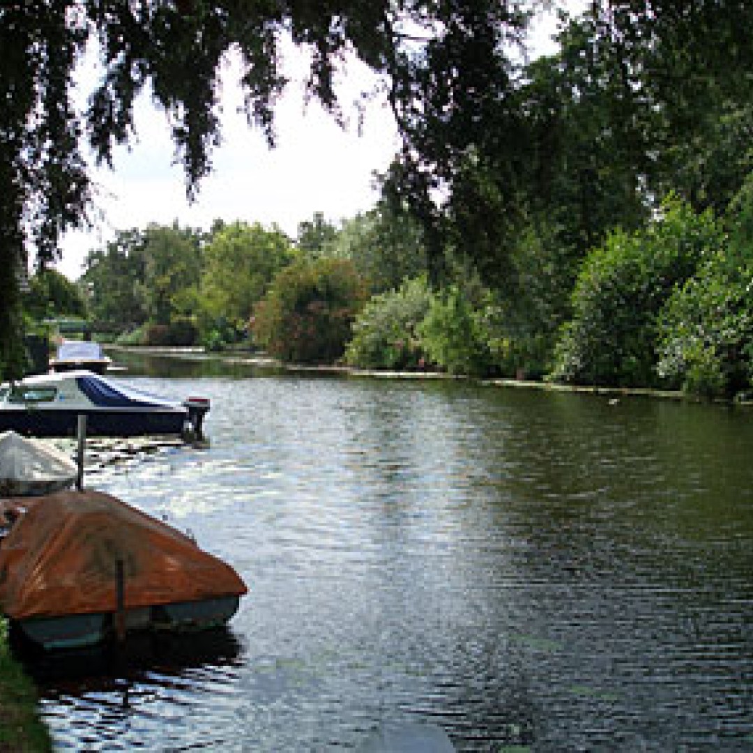 WaterWeetjes: De Waal