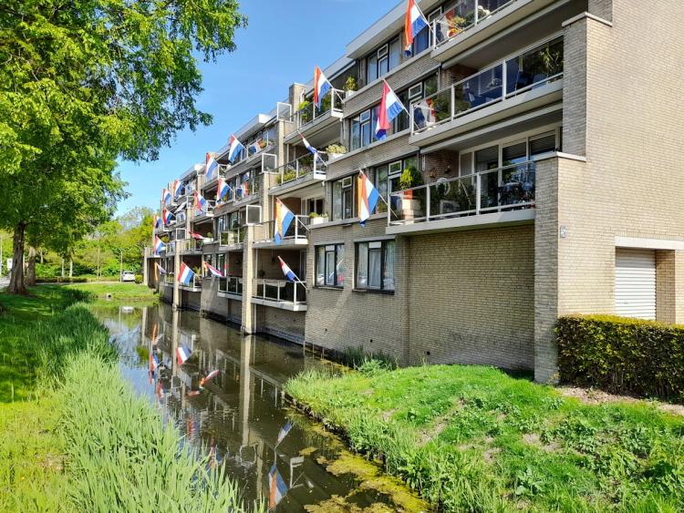 Koningsdag 2026: van vlaggenzee tot vrijmarkt; laatste vuurwerkshow