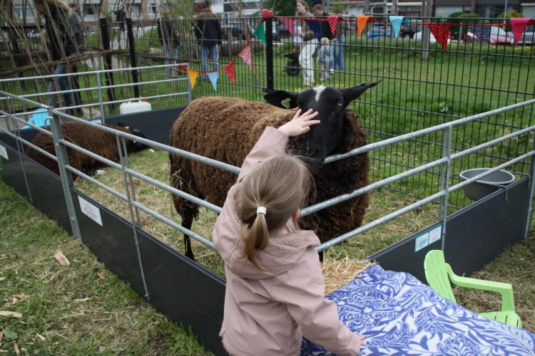 Kinderen De Rakkers vieren boerderijfeest