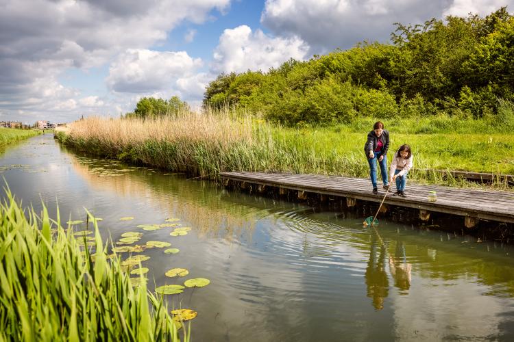 Waterschap sluit 2025 positief af en zet koers richting grote investeringen voor de toekomst