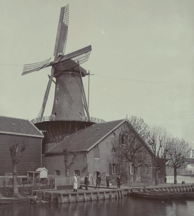 Expositie: Molens in de Zwijndrechtse Waard