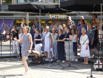 Album afbeelding 133