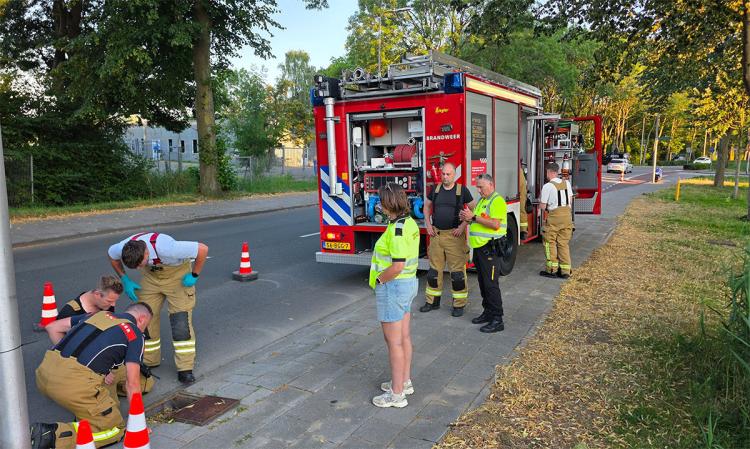 Brandweer en dierenambulance zetten alles op alles voor waterhoentjes in rioolput Reeweg