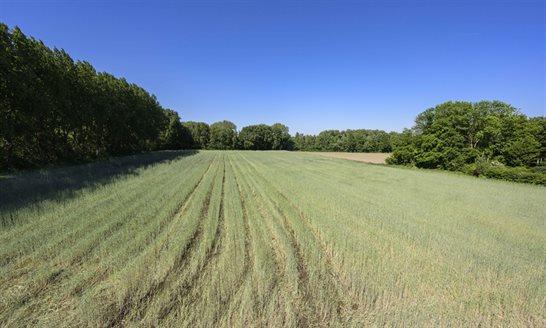 Provincie Zuid-Hollande investeert € 340.000 in groenblauwe dooradering in de Zuid-Hollandse Delta