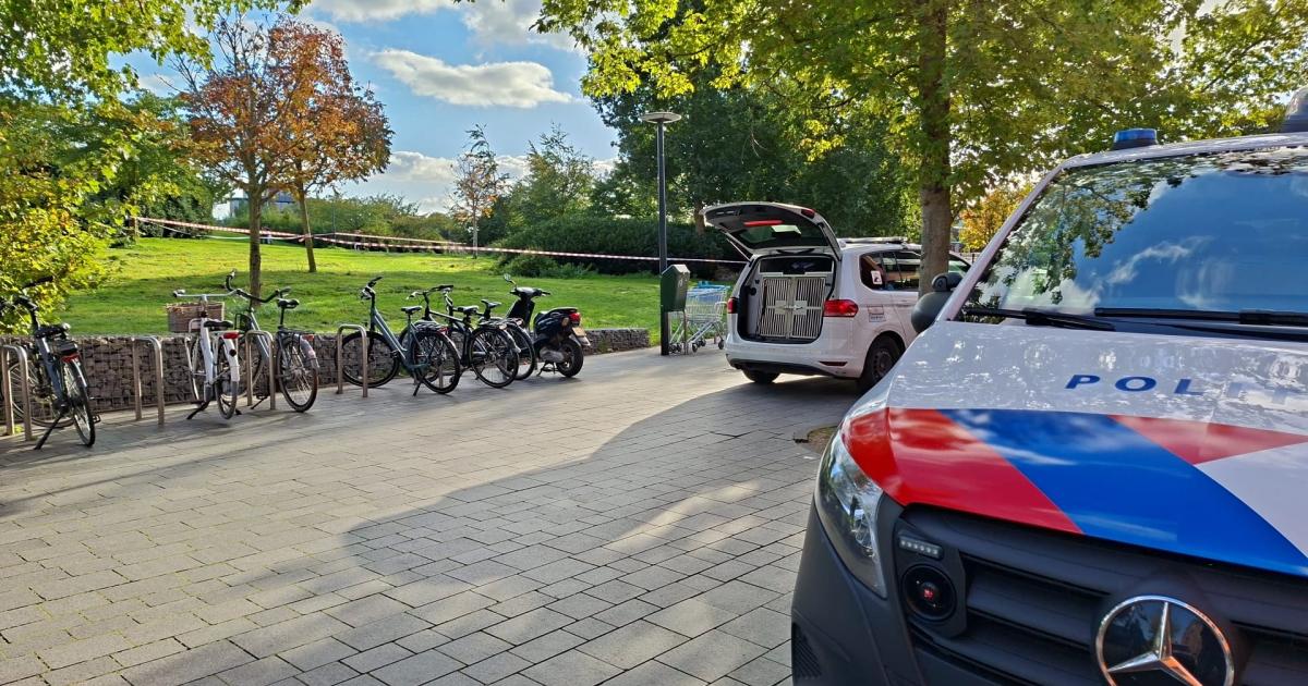 Twee jongens aangehouden na melding van mogelijk vuurwapen aan Sophiapromenade