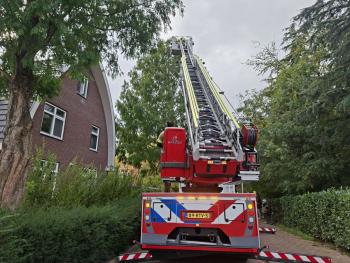 Vermiste kat Kyra na week teruggevonden in boom Vrouwgelenweg