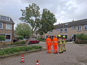 Album afbeelding 4: Prinsenhof Heerjansdam