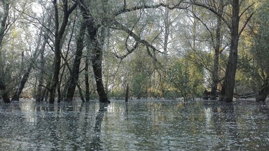 Jongerencommunity NLDelta op 20 januari van start