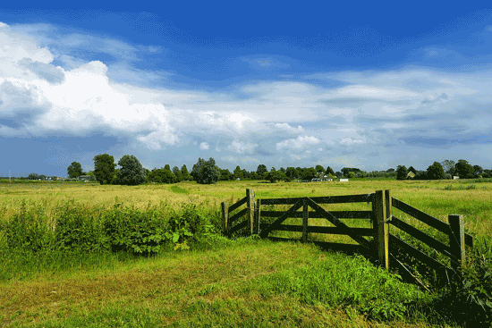 Stichting Het Zuid-Hollands Landschap pleit voor meer groen in onze regio