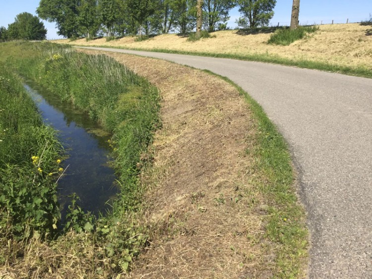 Meldpunt maai-misstanden