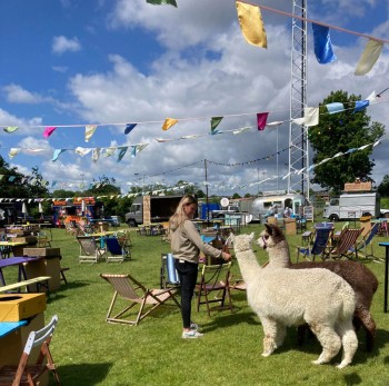 Album afbeelding 1: aanwezigheid op het festival