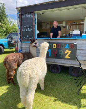 Album afbeelding 2: gezellig eten op het festival