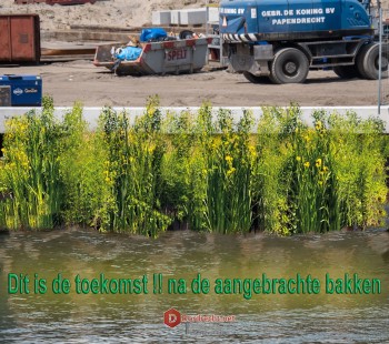 Album afbeelding 13